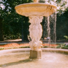 HARMAN Phoenix II ISO200 35mm 36exp HARMAN Phoenix II ISO200 35mm 36exp