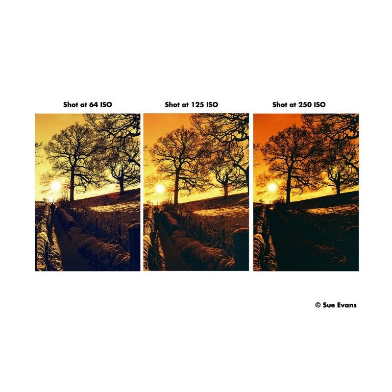 HARMAN RED ISO125 Redscale Film 120 HARMAN RED ISO125 Redscale Film 120