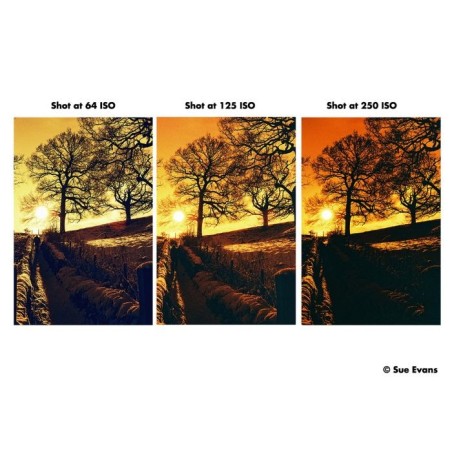 HARMAN RED ISO125 Redscale Film 120