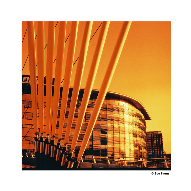 HARMAN RED ISO125 Redscale Film 120 HARMAN RED ISO125 Redscale Film 120