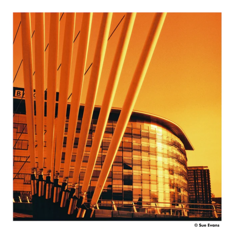 HARMAN RED ISO125 Redscale Film 120