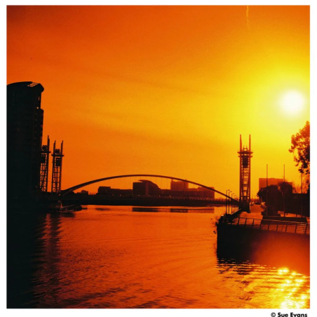 HARMAN RED ISO125 Redscale Film 120