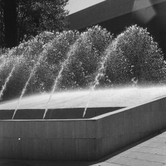 Kodak Plus-x pan 125 (vencida 2004)