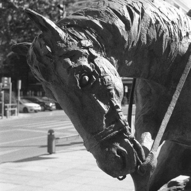 Kodak Plus-x pan 125 (vencida 2004)