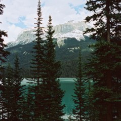 CineStill 50D 120 EXPIRED 06/25