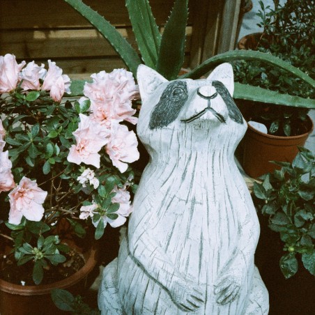 YASHICA Sapphire 70s 400 35mm 24 exp